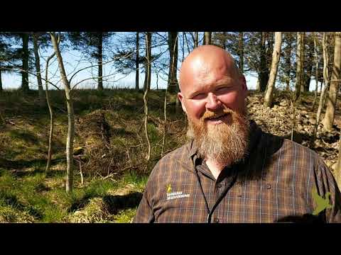 Godt nyt til hundefolket