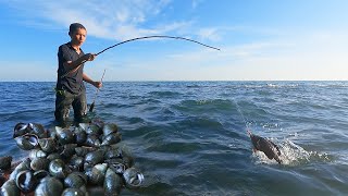 Fishing With Sea Snails - Survival Catch With Unbelievable Fishing Technique