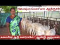 கலப்பின ஆடு வளர்ப்பில் அசத்தும் பெண்