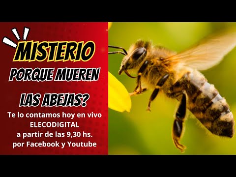 EN VIVO, NOTICIAS DESDE CARMELO, PARA TODO  COLONIA Y URUGUAY,  DEL MARTES 7 DE ENERO DE 2026.