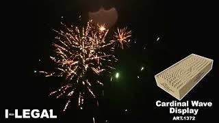 Cardinal Wave Display - I Like Legal - Magnum Vuurwerk - 1372