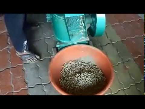 Fish Feed Making Machine