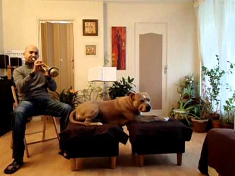 Mario à la trompette avec son chien Tyron