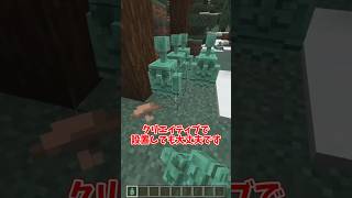 【マイクラ】緊急！今すぐ限定マントを入手してください！【ゆっくり実況】