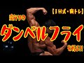 流行りの《ダンベルフライ》を斬る!!【IH式・胸トレ】