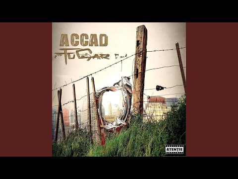 Idei În Practică (feat. Cicatrice & Nippy Yell)