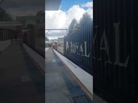 3BM4  going thru  meadowbank  station  at 104pm  with  NR66  MOVEMBER 1 AN8 on 7 of August  2022