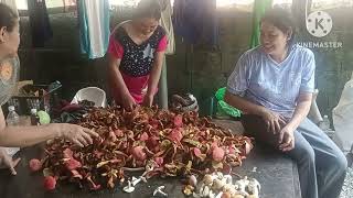 เห็ดผึ้งแดงได้หลาย จนต้องแบกกลับบ้าน