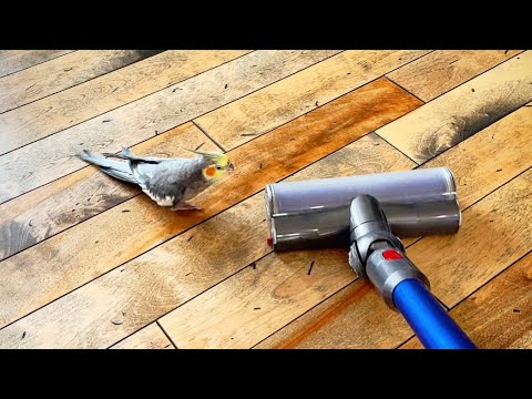 I challenge you to a duel 🤺