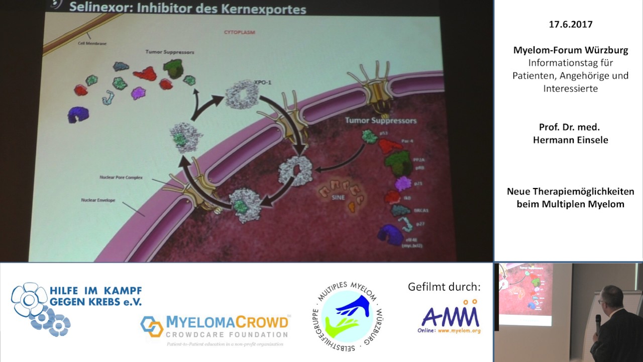 Neue Therapieoptionen (2017)