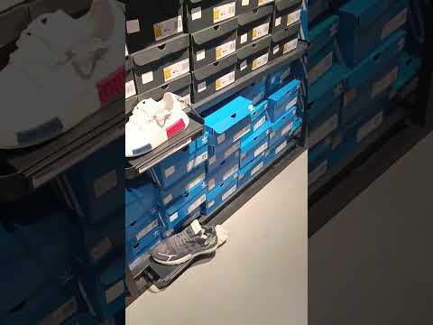 lelystad Netherlands crew walking tour 5