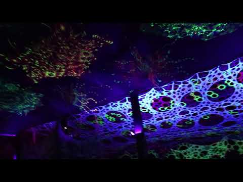 Elowinz  ● Katayy Festival 2019