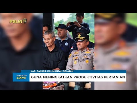 PENANAMAN PERDANA JAGUNG DI PTPN IV DANAU SALAK