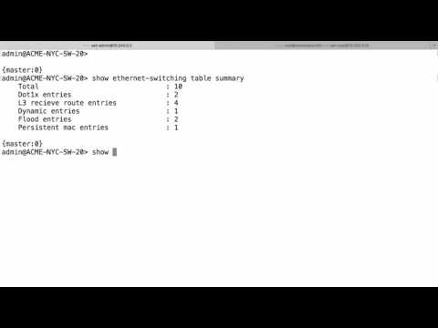 Juniper Show Mac Address Table