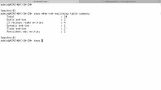 Juniper EX Switch MAC Address Table Overflow Attack