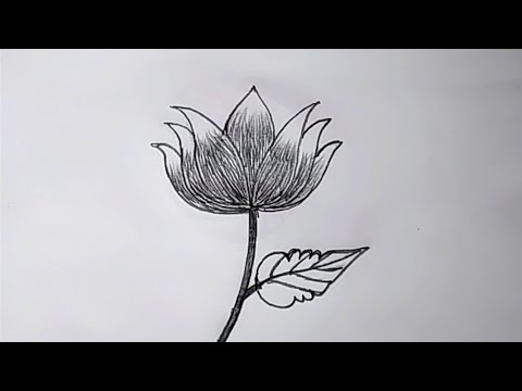 Flower drawing easy.how to draw flower. Simple flower drawing.. Easy drawing. Easy flower drawing