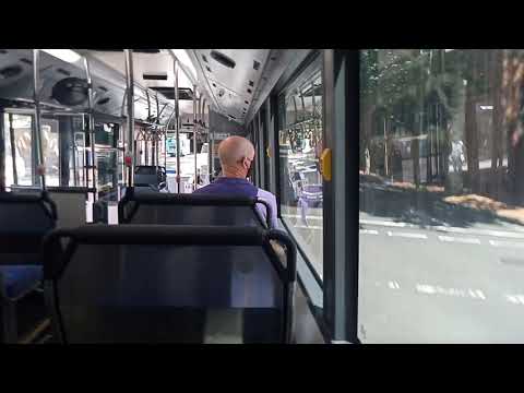 Transit Systems - 7095 - Scania K310UB/Gemilang Ecocity[Leichhardt](438x - Abbotsford)