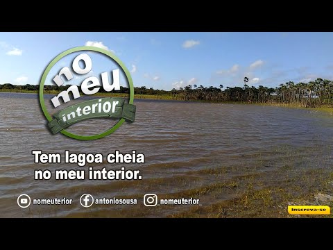 Tem lagoa cheia no meu interior - 04/05/2023 #quintafeiranomeuinterior