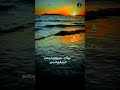Sindhu Nadhi Poo Movie Short Kadavulum Neeyum Lyric Song