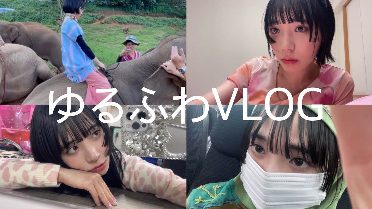 酒を飲んだり、ゾウに乗ったり、実家に帰ったりしているビデオです