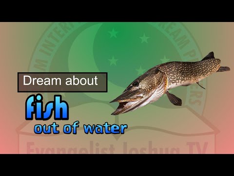 DREAM OF FISH OUT OF WATER - Find Out The Biblical Dream Meaning