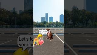 Download lagu Baby Banana Cat helps lost dog to find home 🐱❤️ #catmemes #cat #shorts #fyp #bananacat mp3