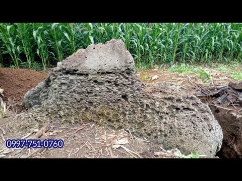 Japanese Prepared Treasure Burial Layout Team Smiley Finale Remapping