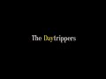 Greg Mottola S The Daytrippers 1996 Opening Title Sequence