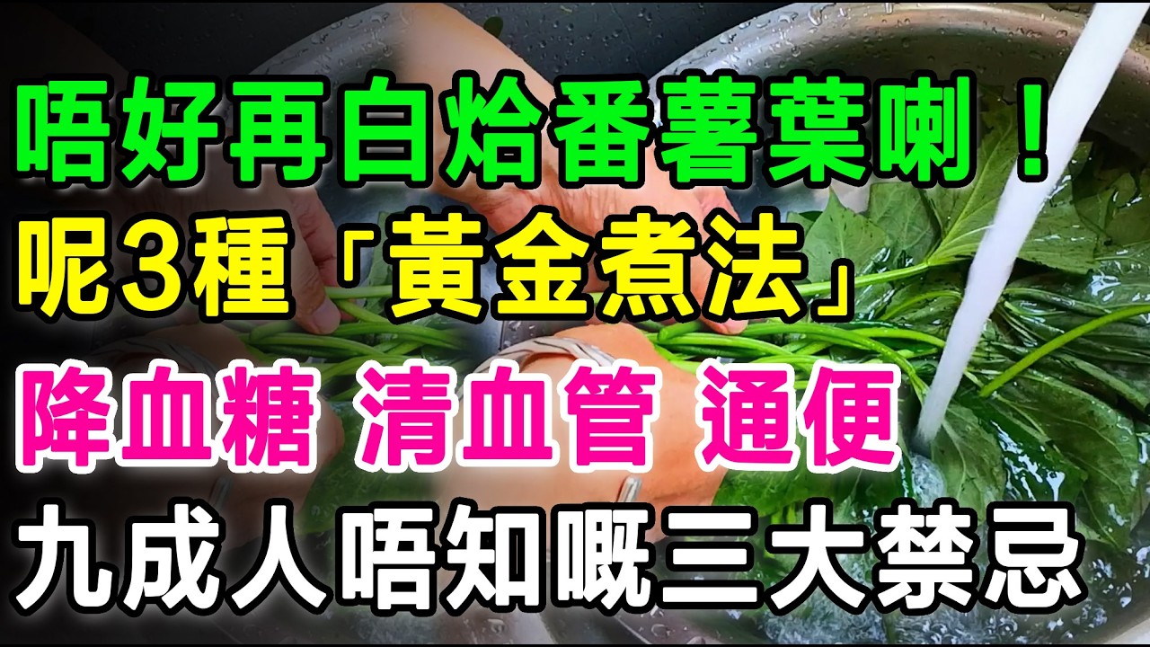 唔好再白烚番薯葉喇！番薯葉嘅3種「黃金煮法」，降血糖、清血管、通便，但呢3類人食錯隨時出大事。#番薯葉 #抗癌食物 #健康養生 #降血糖 #降血壓 #長者健康 #通血管 #通便排毒 #街市買餸