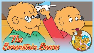 Berenstain Bears: The In Crowd/ Fly It - Ep.24