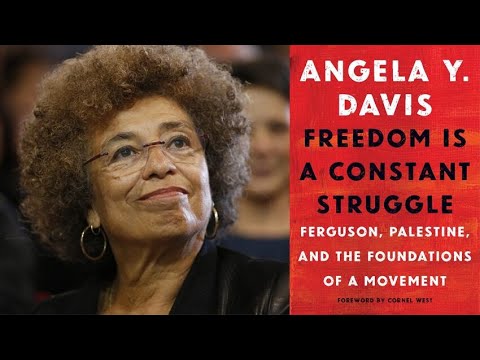 Freedom Is a Constant Struggle - Video Book Review