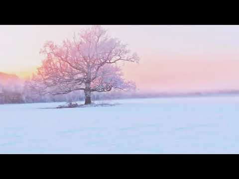 little cloud - tapeloop #1 ~ winter 2008-2009