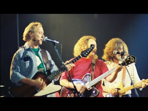 Crosby, Stills & Nash - Wasted On The Way (with lyrics)