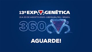 Miniatura do vídeo