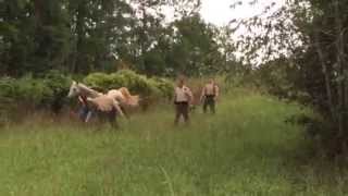 Night mare at the Not so OK Corral