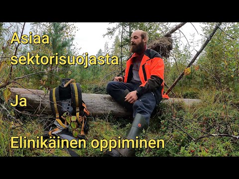 Asiaa raivaussahan sektorisuojasta - Elinikäinen oppiminen