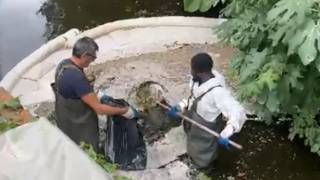 Robecco sul Naviglio, gli operai «lavano» l'acqua del Naviglio Grande e delle sue rogge dopo lo s...