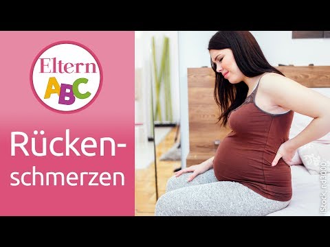 Kaufen eine Klammer auf das Kniegelenk Orro Prednison für die Gelenke