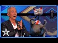 SINGING CAT Noodle Has Us Fee Line Good Auditions BGT 2023