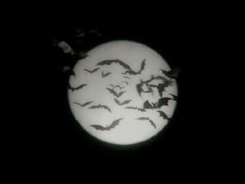 [FREE] "Gotham City" ~ bb jacques x luv resval x népal type beat