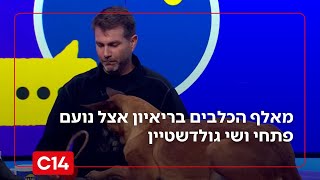איך מוצאים נעדרים? ריאיון עם מאלף כלבי הביטחון שמצילים את העולם (חדשות ערוץ 14) - התמונה מוצגת ישירות מתוך אתר האינטרנט יוטיוב. זכויות היוצרים בתמונה שייכות ליוצרה. קישור קרדיט למקור התוכן נמצא בתוך דף הסרטון
