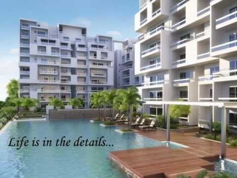 Rohan Jharoka Phase 2 Project Tour 1