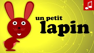 UN PETIT LAPIN ♫ Comptines maternelles - & chanson pour bébé