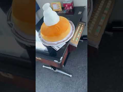 園芸 ミニチュアチュサンヤシ、ドワーフウィンドミルヤシ