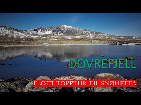 #Hiking Norway - Dovrefjell & Snøhetta 2019 - topptur