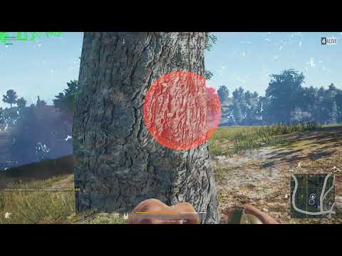 Kobe carrying Joda to chicken dinner 5/5