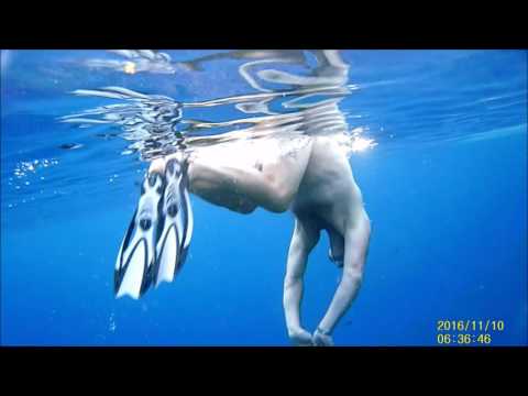 2016 Novemer Marsa Alam