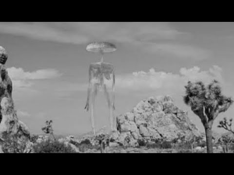 Quem é o SCP 5771/homen cogumelo