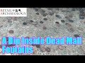 A Dip Inside Dead Mall Fountains Retail Archaeology Quick Shot Series