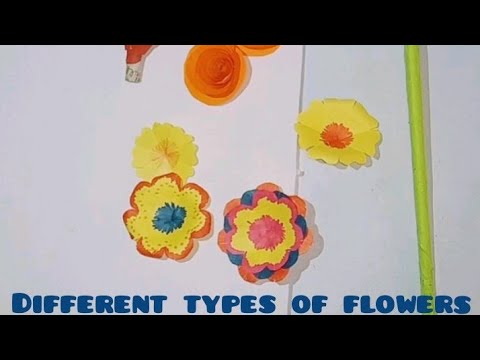 How to make different types of colour flowers?🤩😍